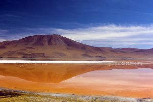 Ojo de Perdiz - Bolivian Border 046.jpg